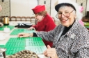 Bingo – Its Birth & Beginning thumbnail